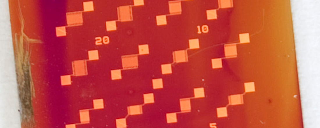 organic photodiode