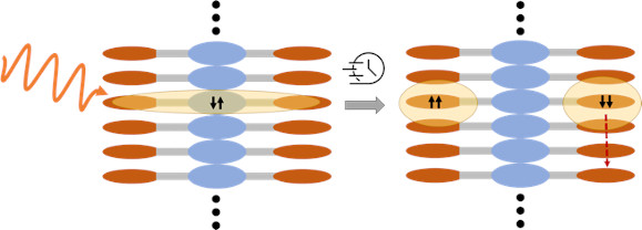 Controlling decoherence in the singlet fission process.