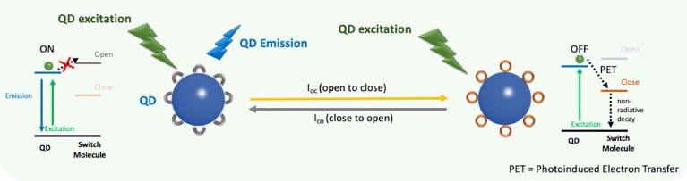 Photoswitchable quantum dot – dye arrays for exciton logic gates