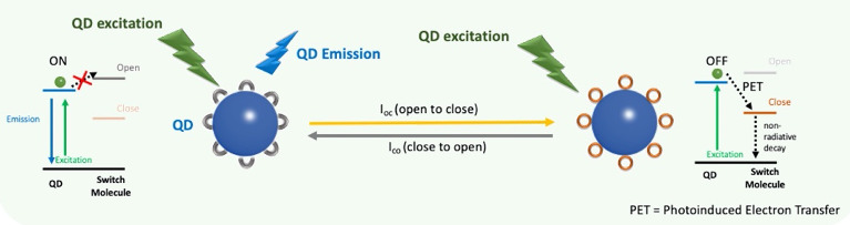 Photoswitchable quantum dot – dye arrays for exciton logic gates