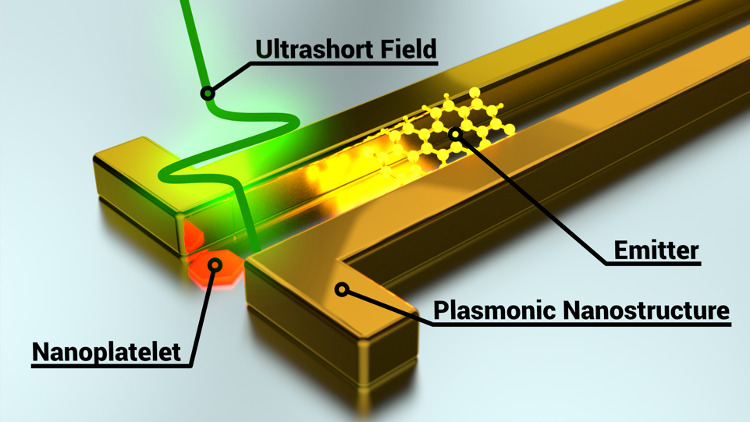 Nearfield-control of excited state dynamics.