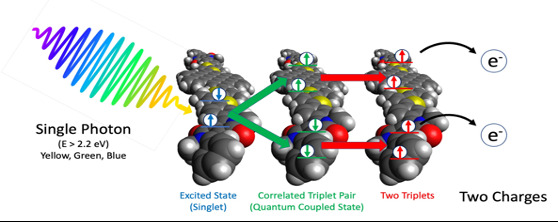 Project sketch Self-assembly of discotic liquid crystalline singlet fission (SF) materials