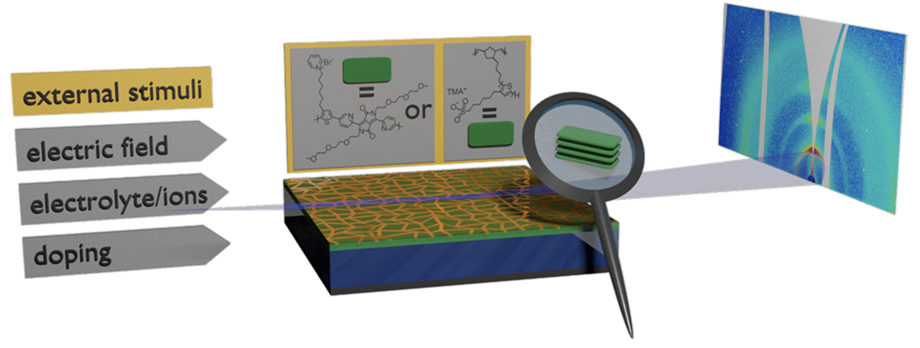 Project sketch Synthesis and physico-chemical characterization of conjugated bottlebrushes and polyelectrolytes