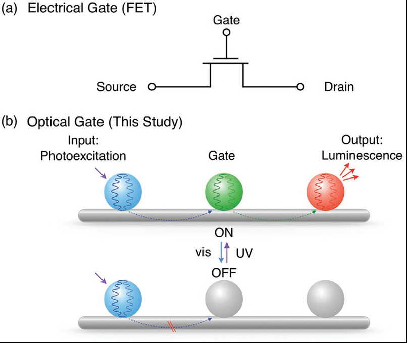 Project sketch Light controls light; development of optical logic gates